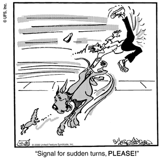 marmaduke